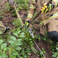 27